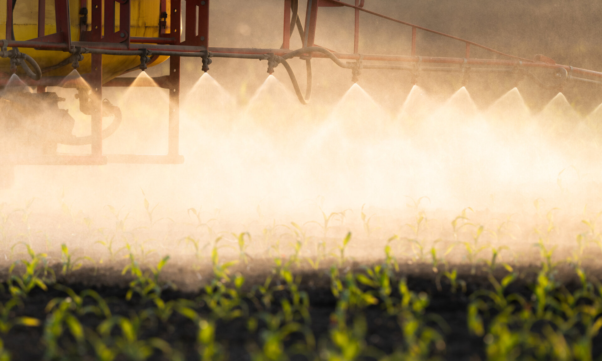 Crop spraying machine spaying a crop.